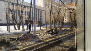 Поездка на трамвае Львёнок по маршруту 23