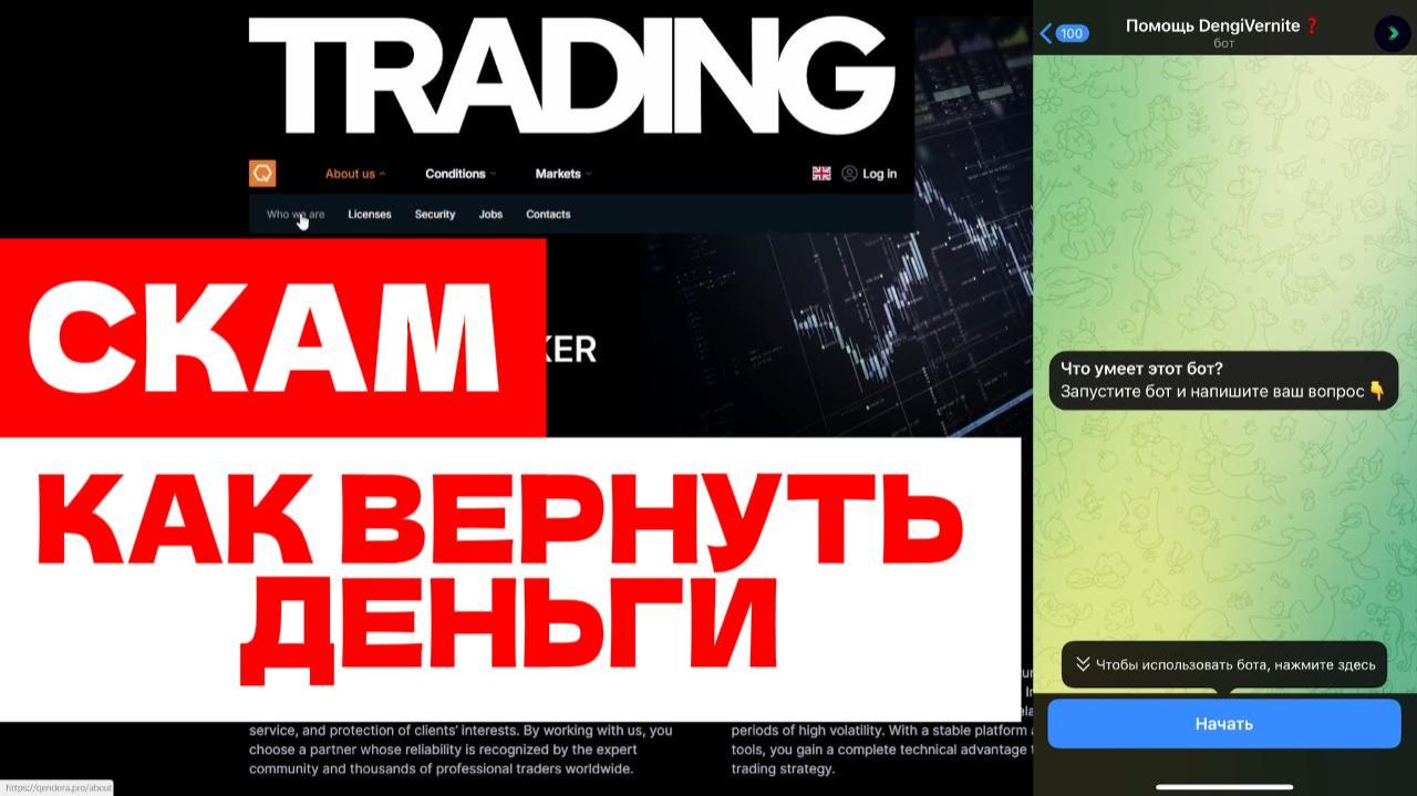 Qendora (qendora.pro, qendo-ra.site) обзор, отзывы. Скам?