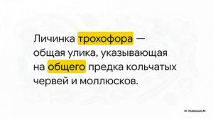 Биология 8 класс параграф 53 Эволюция беспозвоночных животных