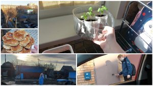 УТРО НАЧИНАЕТСЯ НЕ С КОФЕ | ЗАЕХАЛИ В САД | КАК ДЕЛА У РАССАДЫ. ПЕРЕСТАВЛЯЮ ОТ СОЛНЦА К СОЛНЦУ