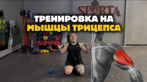 ТРЕНИРОВКА НА МЫШЦЫ ТРИЦЕПСА РУКИ 🔥
