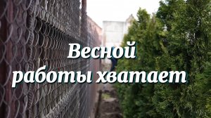 Маленькое дело лучше большого безделья. На своей земле работа всегда найдётся.