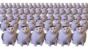 МЕМНОГО КОТА HUH 🐈 СТАНОВИТСЯ ВСЕ БОЛЬШЕ И БОЛЬШЕ!!! ДЕСЯТЬ МИЛЛИОНОВ КОТОВ HUH В ОДНОМ ВИДЕО! 🙀