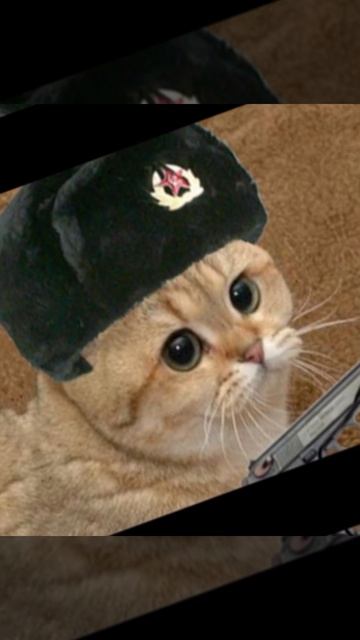 хотите видео по майнкрафт??