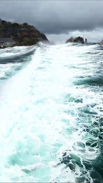 Милый малыш спит в уютном гнездышке #дети #новорожденный #счастье