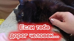 Если человек тебе дорог...
