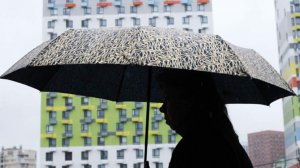 Синоптики спрогнозировали в Москве дождь на выходных