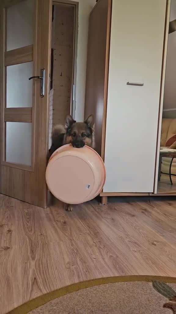 Когдa немношк подроc 😎