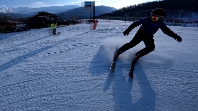 Роза26СанекШилоТормозит