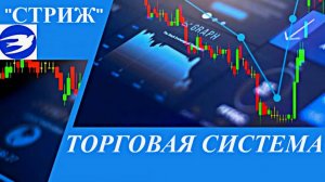 Торговая система "СТРИЖ"