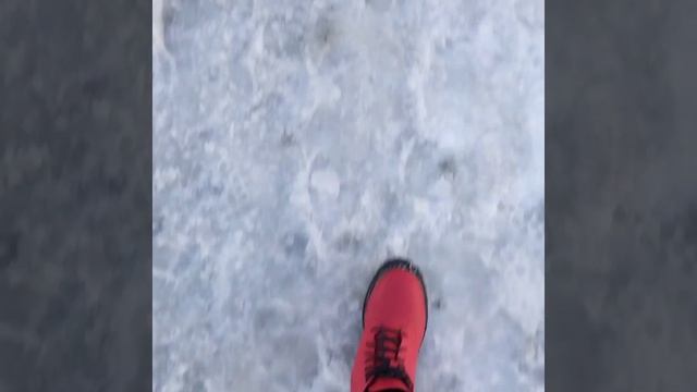 песня про жизнь