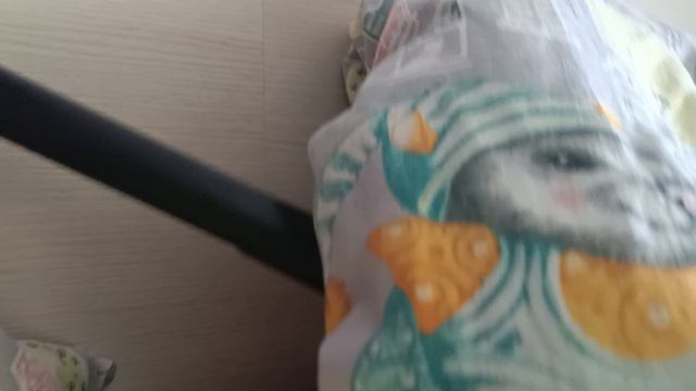 самый опасный вид человека спидрана