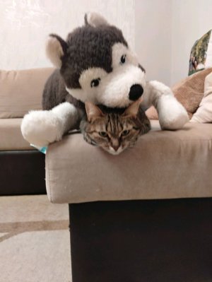 единорожка Огна