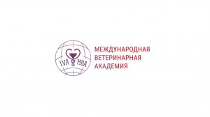 26.03_БЖД - лекция. ВВМ-11, ВВМ-12 (1)