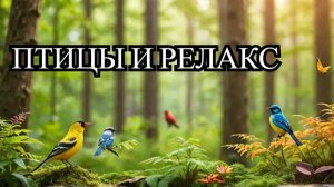 Пение птиц в у лесной реки. Расслабление с природой