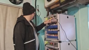 Залил фундамент под теплицу, пересадил бройлера, запустил инкубатор.