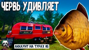 RF4 Вот что может творить обычный червь #рр4