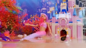 Best Fish Tank Wins 10,000!