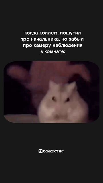 На все руки мастер