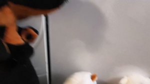 🐎7 серия сериал истории из Лапушинска 🐎