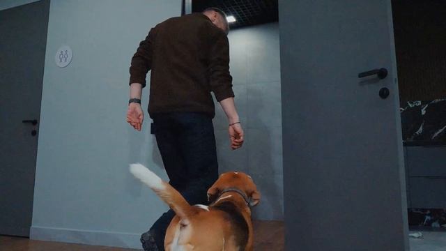 Лапомоечные в ЖК Дальневосточный талисман