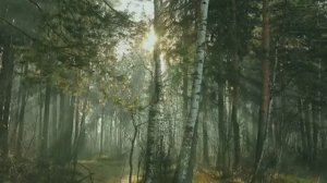 УСПОКАИВАЮЩАЯ МУЗЫКА