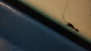 проверка реверса. mp4