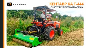 Трактор Кентавр Т-444 с мульчером Flagman в работе