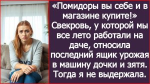 ИСТОРИИ ИЗ ЖИЗНИ|Свекровь отдала весь урожай своей дочери|РЕАЛЬНЫЕ ИСТОРИИ|ЖИЗНЕННЫЕ ИСТОРИИ