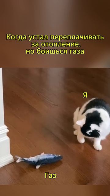 #юмор #газ #газгольдер #отопление #дом #скгаз