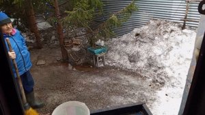 уборка зоопарка