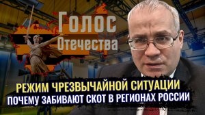 Режим ЧС: Почему забивают скот в регионах России - Максим Нургалеев