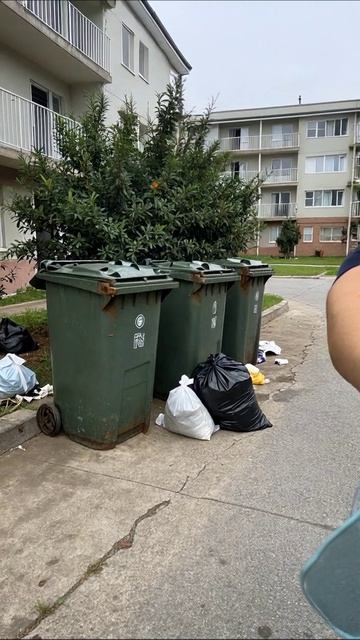 Город в мусоре: неизбежное разрушение #загрязнение #экология #город