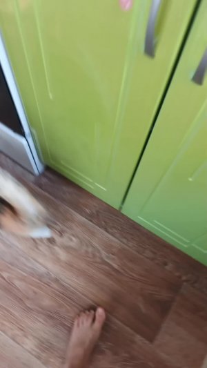 просто о себе