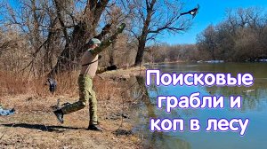 Поисковые грабли и коп в лесу!