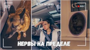 С трудом сдерживаюсь. Мое терпение на грани - ВЛОГ №3895 - 26.03.26