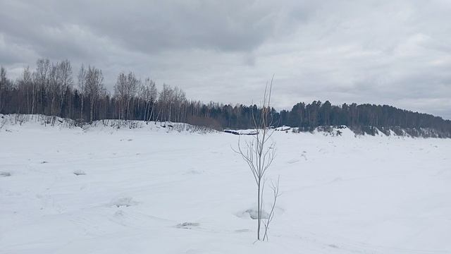 рыбалка на налима