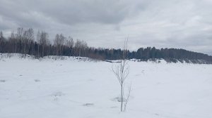 рыбалка на налима