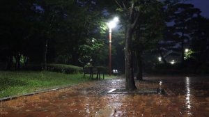 Звуки дождя 🌧️ Глубокий сон и расслабление 🌧️ Спокойствие и концентрация