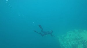 Подводная охота остров Стенина банка Бойсмана  Хасанский район