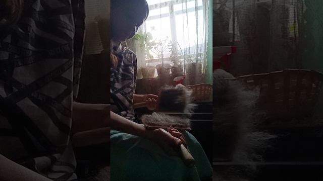 как чесать собачью шерсть 🐈⬛🐈⬛🐈⬛