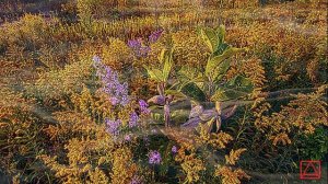 БЛАЖЕННАГО АВВЫ ЗОСИМЫ СОБЕСЕДОВАНИЯ ч4