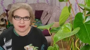 3 часть. СГОВОР против оп@рышей❗️Опять виноваты хейтеры❗️