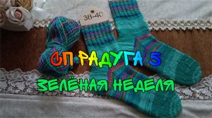 СП РАДУГА 5|ЗЕЛЁНАЯ НЕДЕЛЯ|УЧАСТНИК 18|ЖЕНСКИЕ НОСКИ СПИЦАМИ