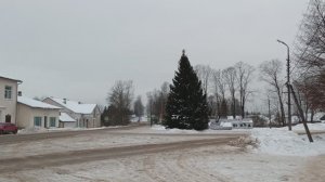 Красногородск (Псковская область) зима, 2025 г. - 2026 г.
