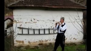 Сербская флейта