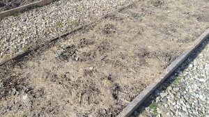 ДЕРЕВЕНСКИЕ БУДНИ☀🏡ЖИВЁМ КАК БОГ ДАЁТ 🙏