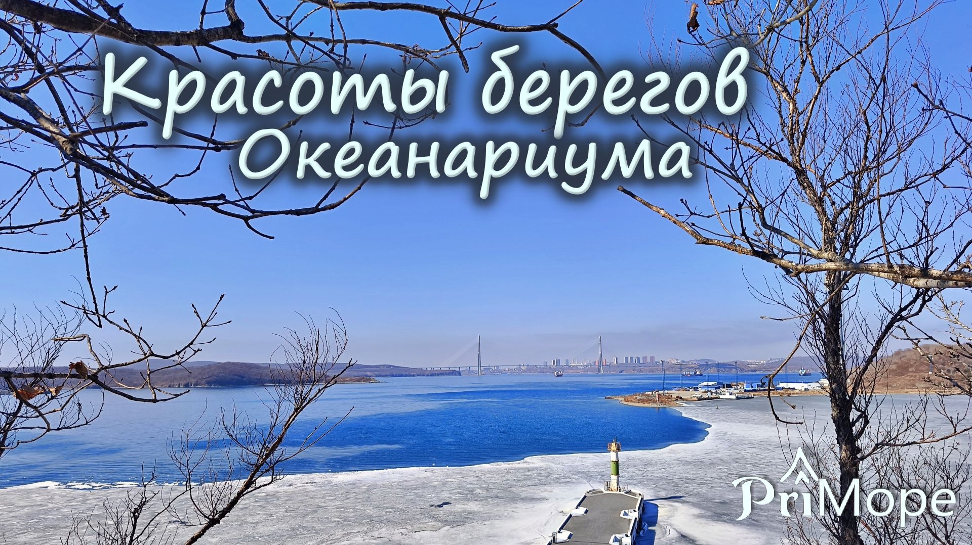 Береговая линия Приморского океанариума, остров Русский