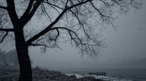 Лёгкая грусть в пасмурную погоду 1(Музыка Сергея Колосова)