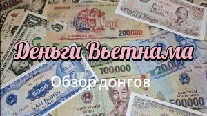 Деньги Вьетнама. Обзор донгов. Какую валюту брать?
